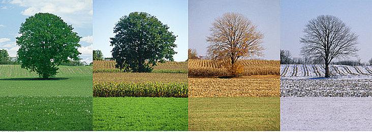 《狼奔豕突2：消失的信号》发布新预告片 7＆12发售