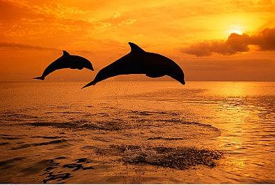 《循环勇者》12月9日登陆NS Steam获特别好评